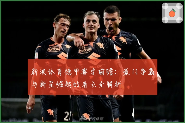 新浪体育德甲赛季前瞻：豪门争霸与新星崛起的看点全解析