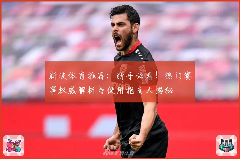 新浪体育推荐：新手必看！热门赛事权威解析与使用指南大揭秘