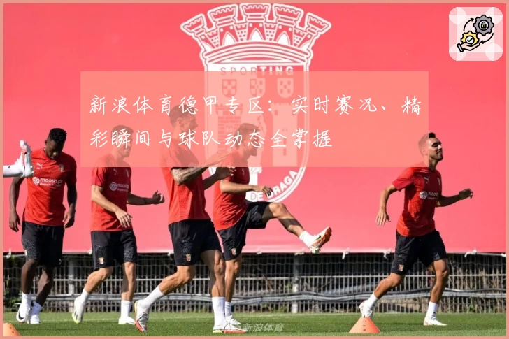 新浪体育德甲专区：实时赛况、精彩瞬间与球队动态全掌握