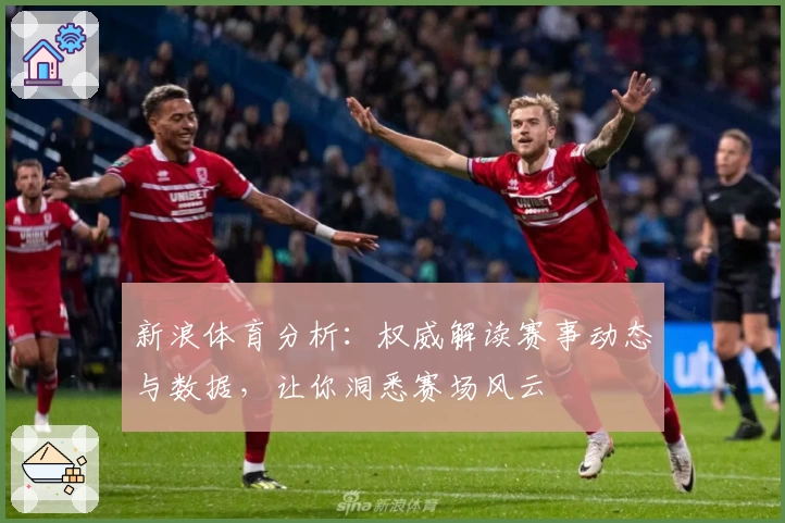 新浪体育分析:权威解读赛事动态与数据,让你洞悉赛场风云