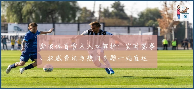 新浪体育官方入口解析：实时赛事、权威资讯与热门专题一站直达