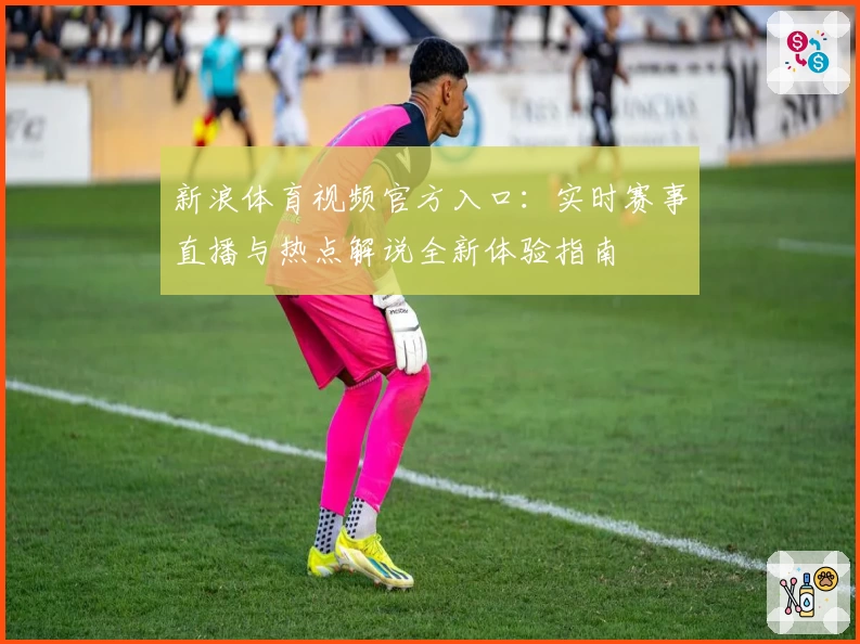 新浪体育视频官方入口：实时赛事直播与热点解说全新体验指南