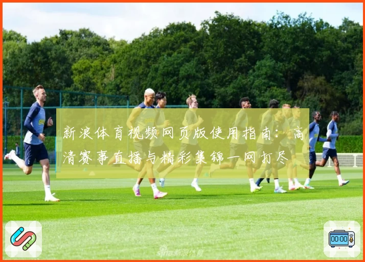 新浪体育视频网页版使用指南：高清赛事直播与精彩集锦一网打尽