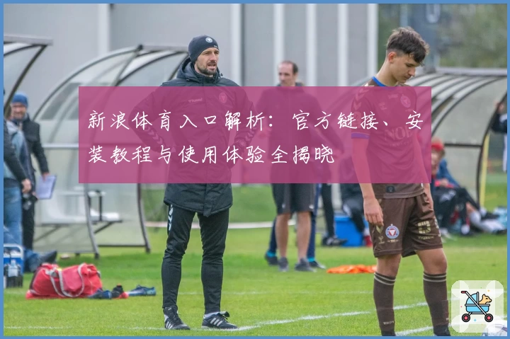 新浪体育入口解析：官方链接、安装教程与使用体验全揭晓