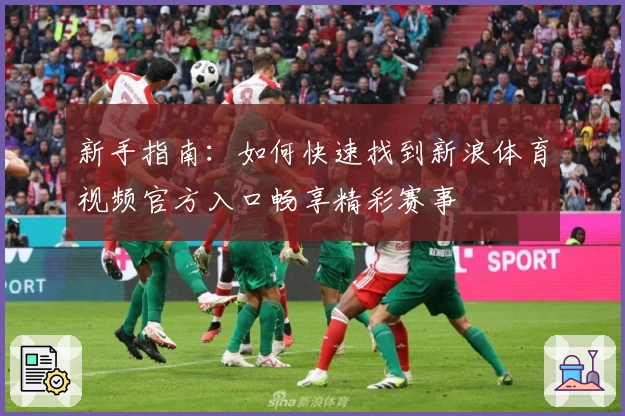 新手指南：如何快速找到新浪体育视频官方入口畅享精彩赛事