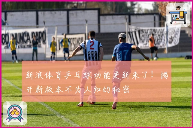 新浪体育乒乓球功能更新来了!揭开新版本不为人知的秘密
